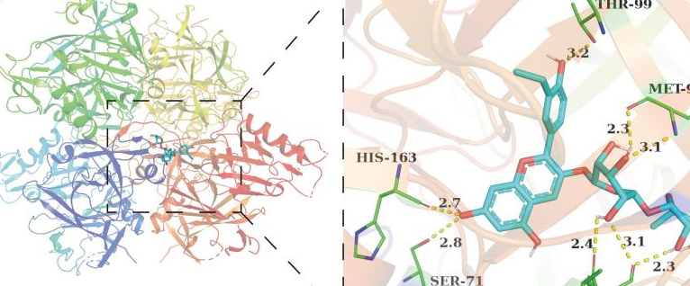 药物分子与靶点结合研究